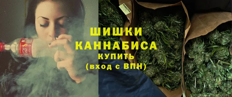 МАРИХУАНА SATIVA & INDICA  продажа наркотиков  Луза 